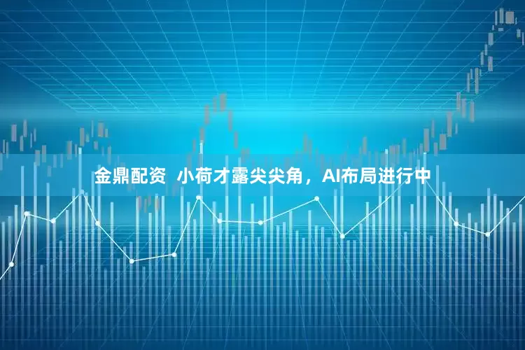 金鼎配资  小荷才露尖尖角，AI布局进行中
