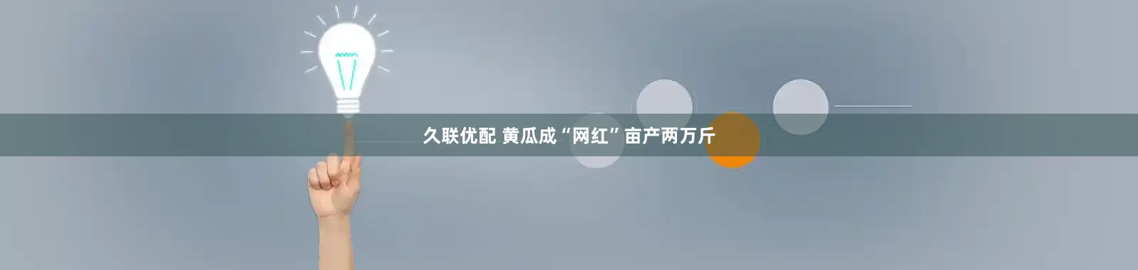 久联优配 黄瓜成“网红”亩产两万斤