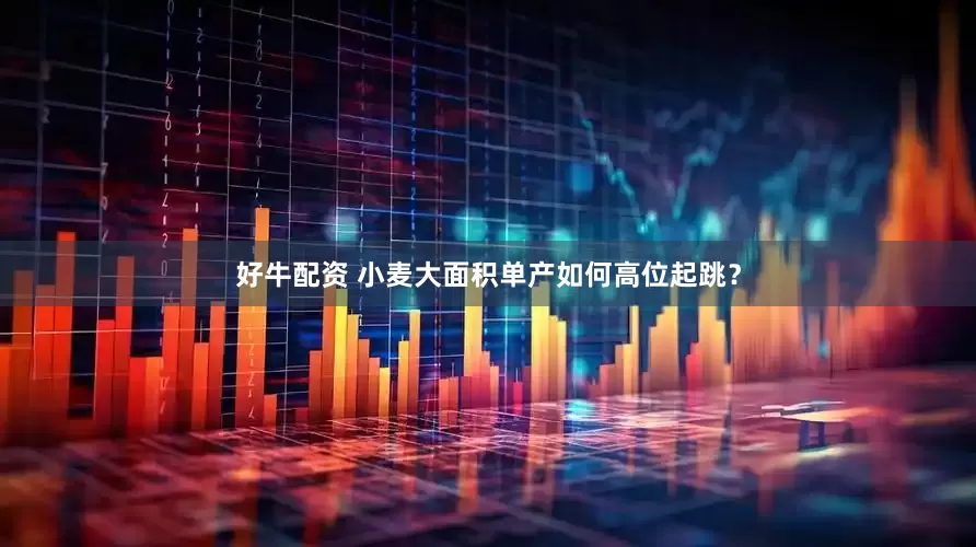 好牛配资 小麦大面积单产如何高位起跳？