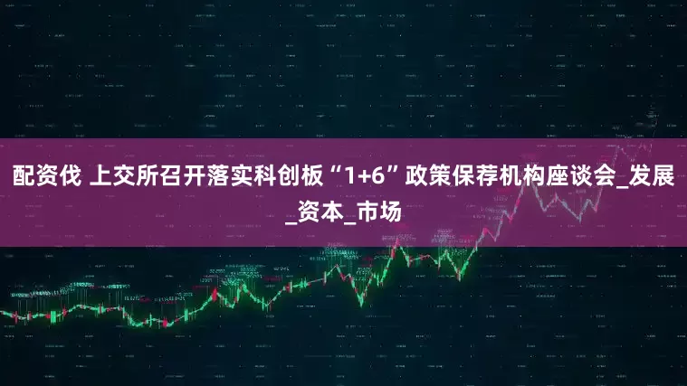 配资伐 上交所召开落实科创板“1+6”政策保荐机构座谈会_发展_资本_市场